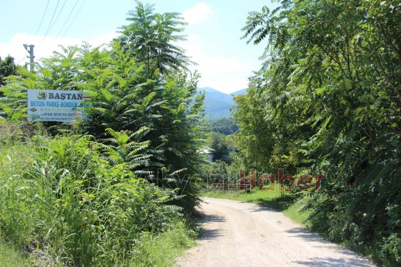 Baştan Beton Parkeyle Bahçeniz Güzelleşsin