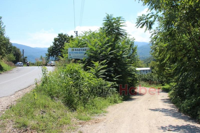 Baştan Beton Parkeyle Bahçeniz Güzelleşsin