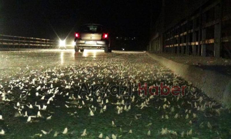 3 yıldır ortada yoklar, merak konusu oldu