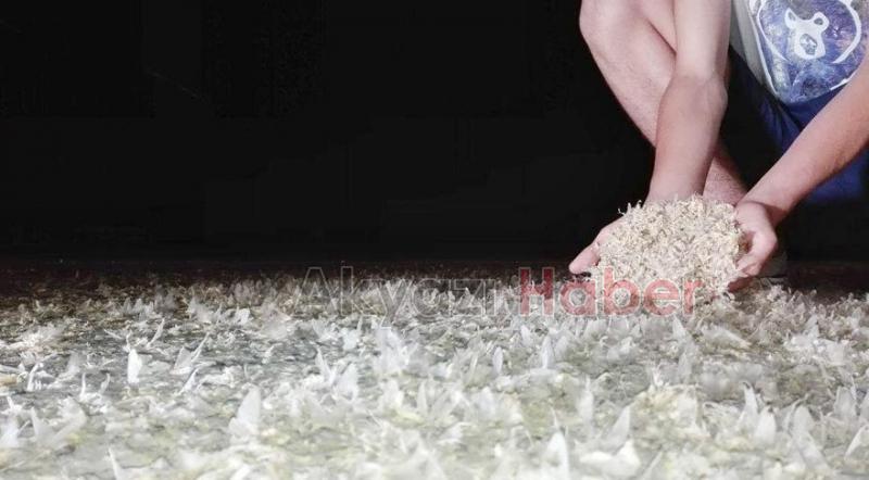 3 yıldır ortada yoklar, merak konusu oldu