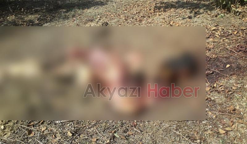 İneği parçalayıp etlerini çaldılar