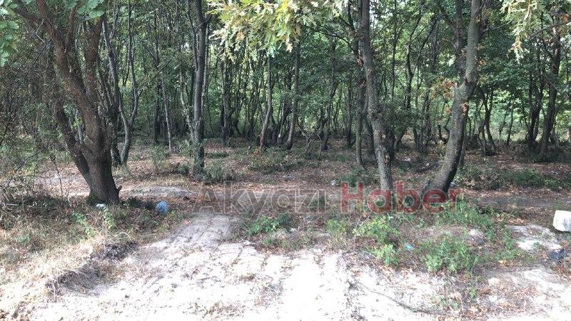 Akyazı'da esrarengiz kazı