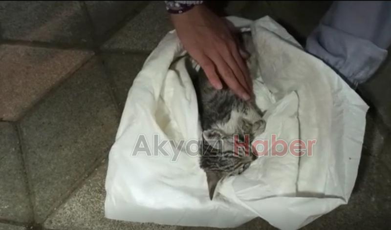 Ölmek üzereyken bulundu