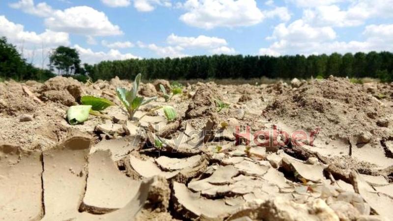 Sakarya en kurak dönemi yaşıyor