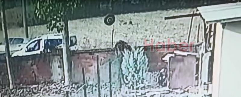 Kafa Kafa Çarpışma Anı Güvenlik Kamerasında