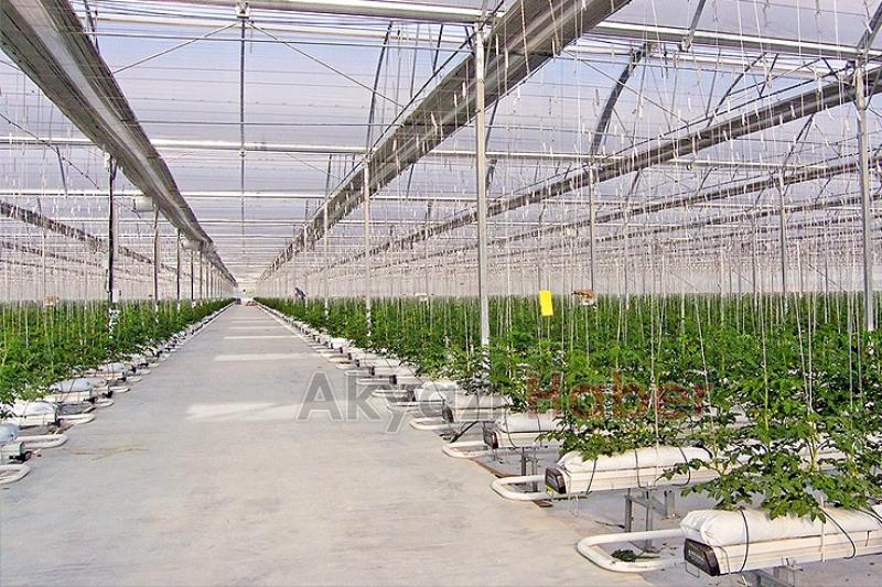 Akyazı'da yapılacak o projenin toplantısı yapıldı