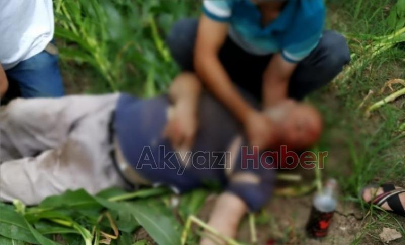 Ot biçerken otomobil çarpmıştı, ölüm haberi geldi