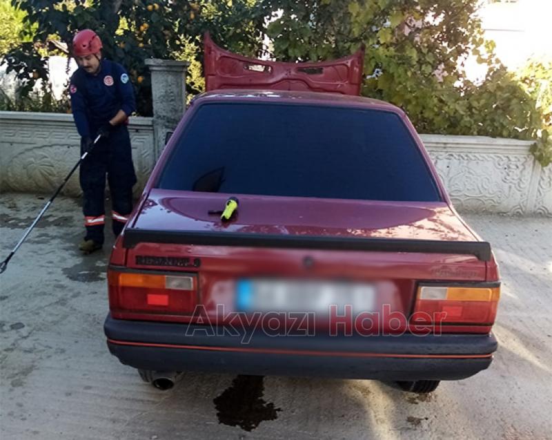 Akyazı'da yılan paniği