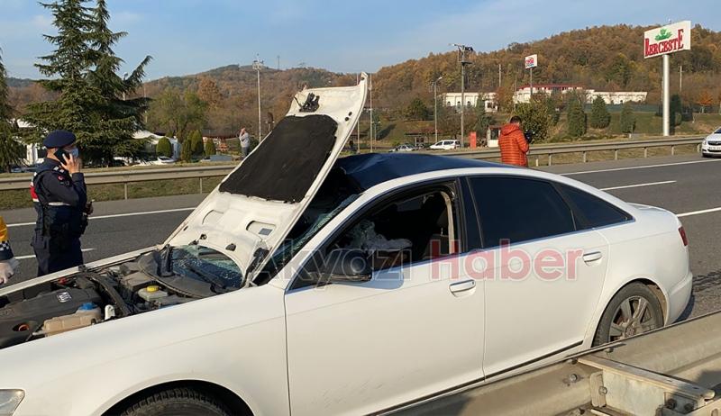 TEM'de karşıdan karşıya geçmek istedi, canından oldu