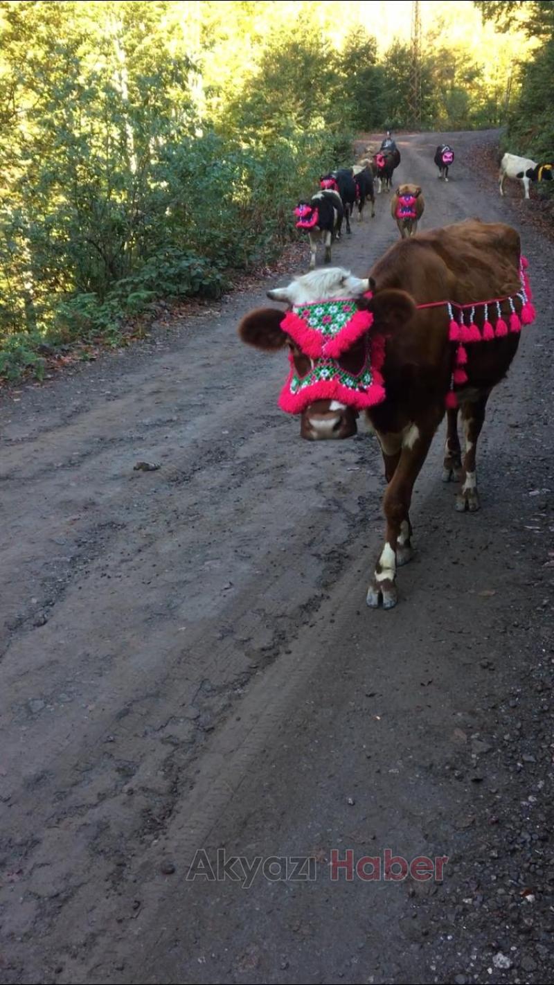 Yüzyıllık göç başladı