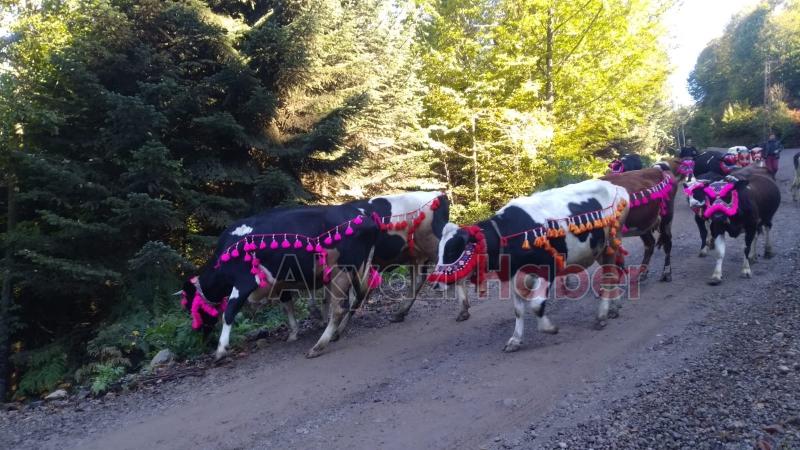 Yüzyıllık göç başladı