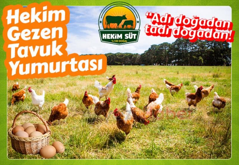 Günlük Taze Doğal Süt Bir Telefonla Kapınızda