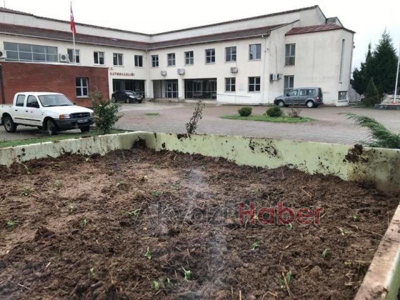 Karapürçek'te salep üretilecek