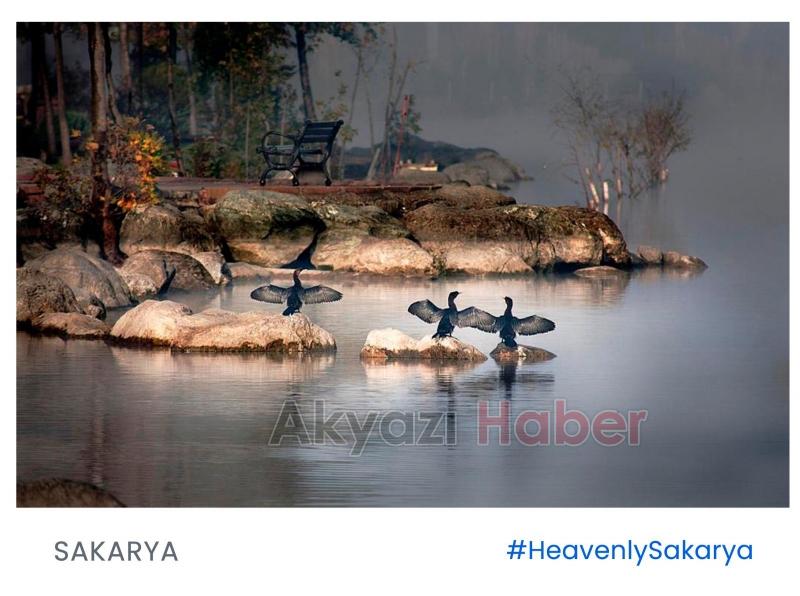 HeavenlySakarya etiketi ülke gündeminde