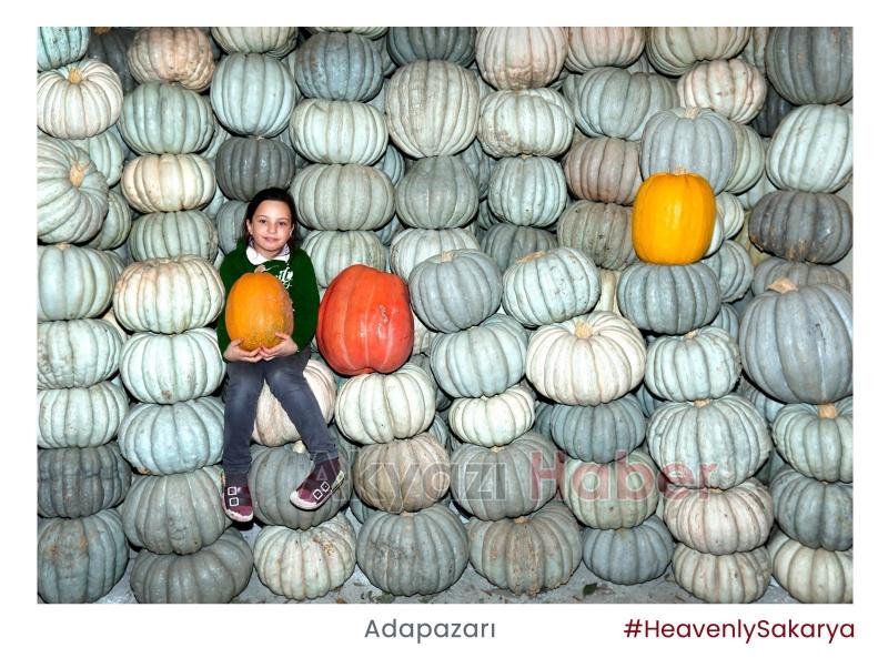 HeavenlySakarya etiketi ülke gündeminde