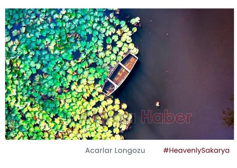 HeavenlySakarya etiketi ülke gündeminde