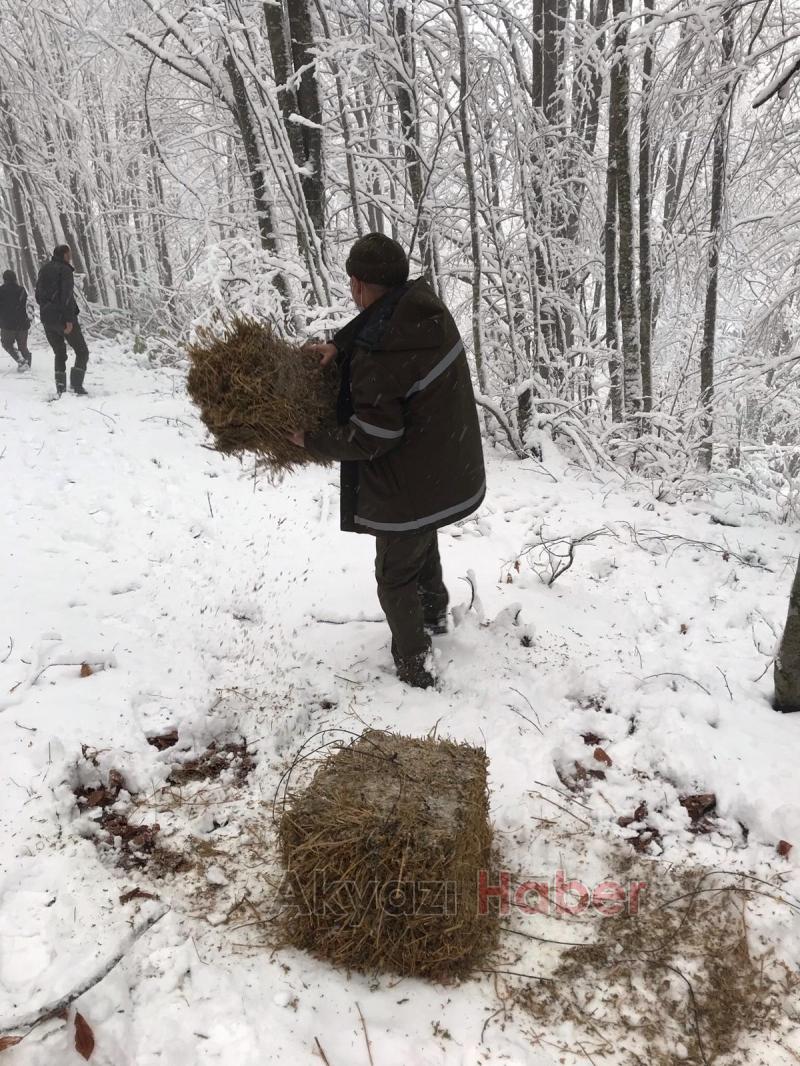 Karda aç kalmamaları için ormana yemler bırakıldı