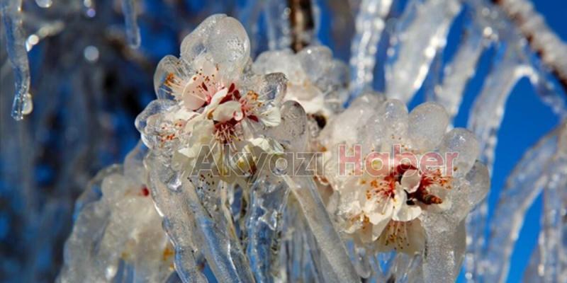 Meteorolojiden zirai don uyarısı