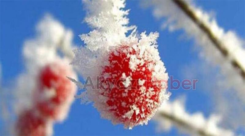 Meteorolojiden zirai don uyarısı