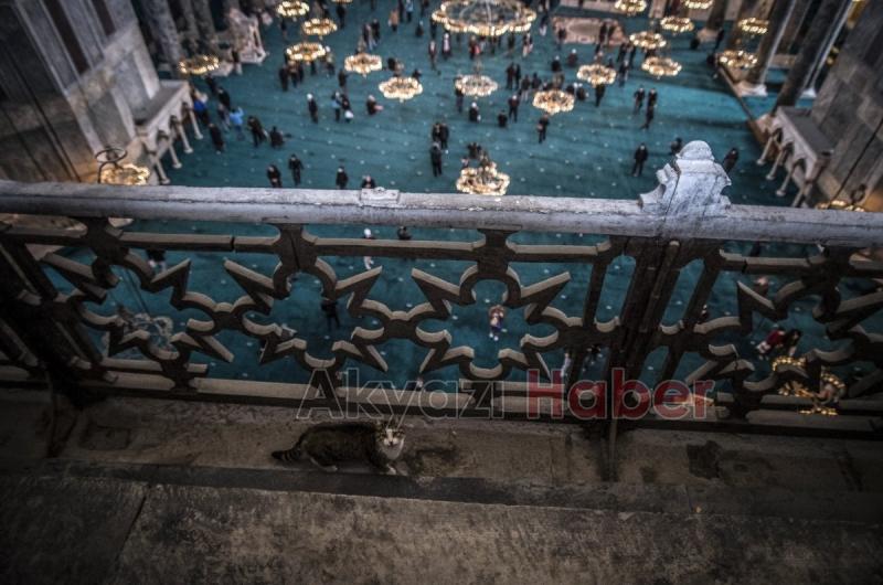 Ayasofya Camii yeni çehresiyle hayran bıraktı