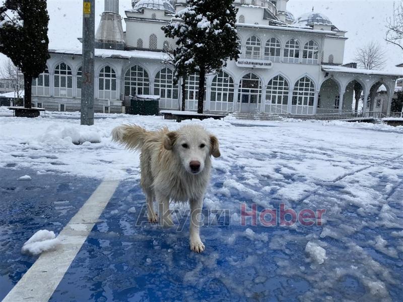 Akyazılılar güne böyle uyandı