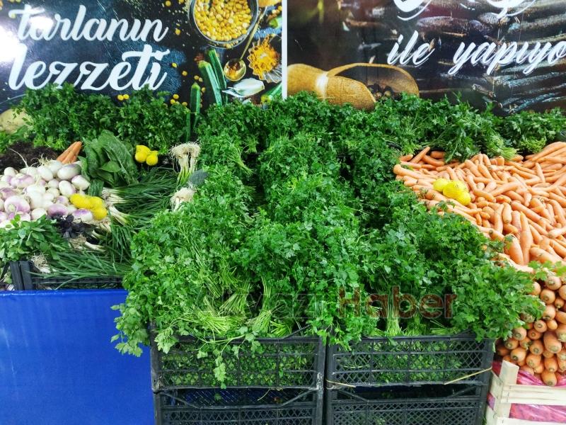 Efecan Tarım Ürünleri Tanzim Satış Hendek'te 