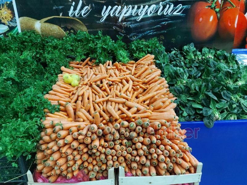 Efecan Tarım Ürünleri Tanzim Satış Hendek'te 