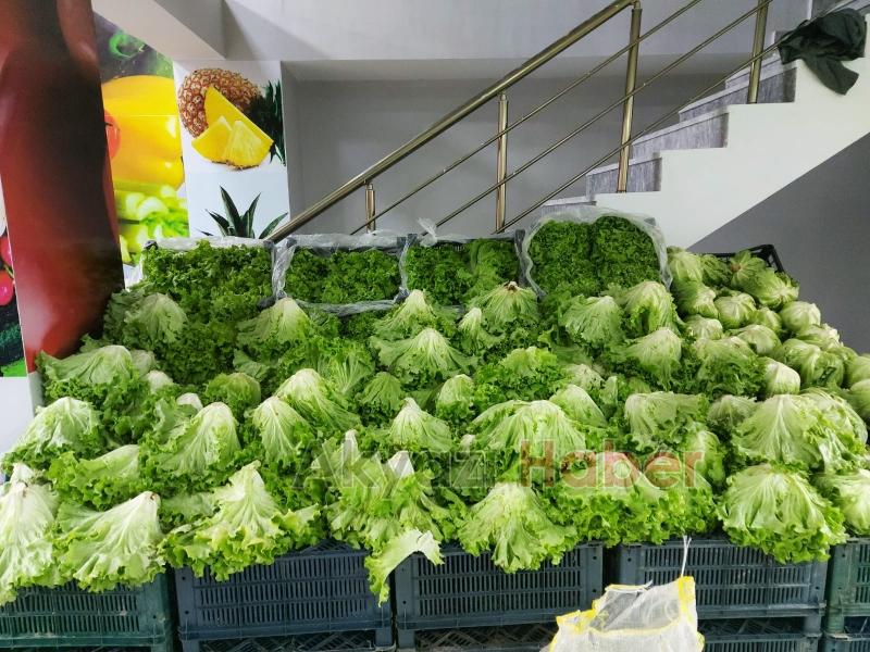 Efecan Tarım Ürünleri Tanzim Satış Hendek'te 