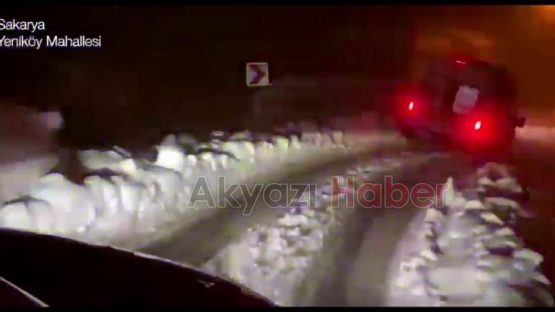 Bakan Koca'dan dikkat çeken Akyazı paylaşımı