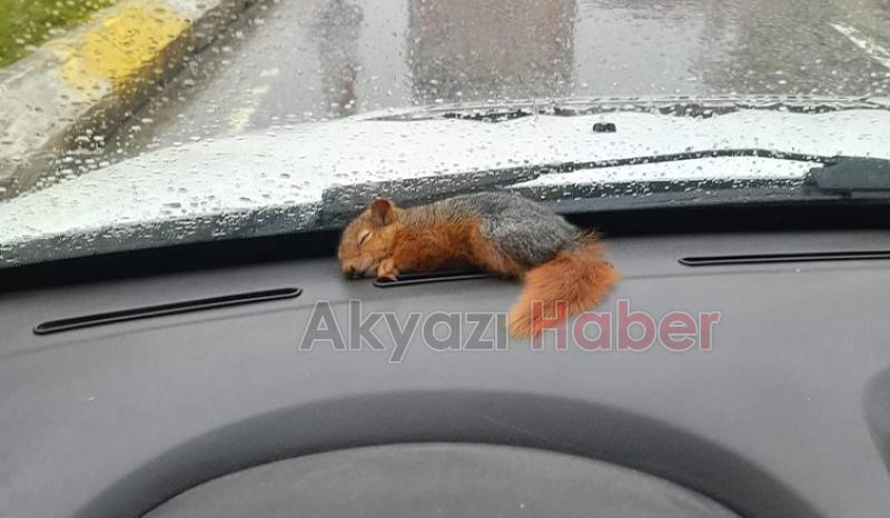 Yürek ısıtan fotoğraf