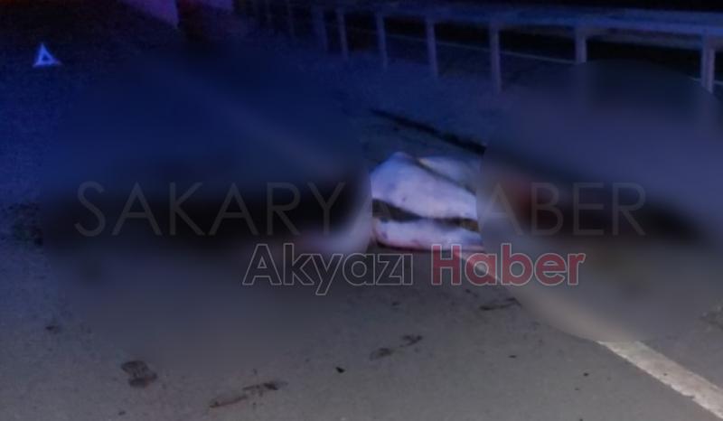 Otomobil ata çarptı