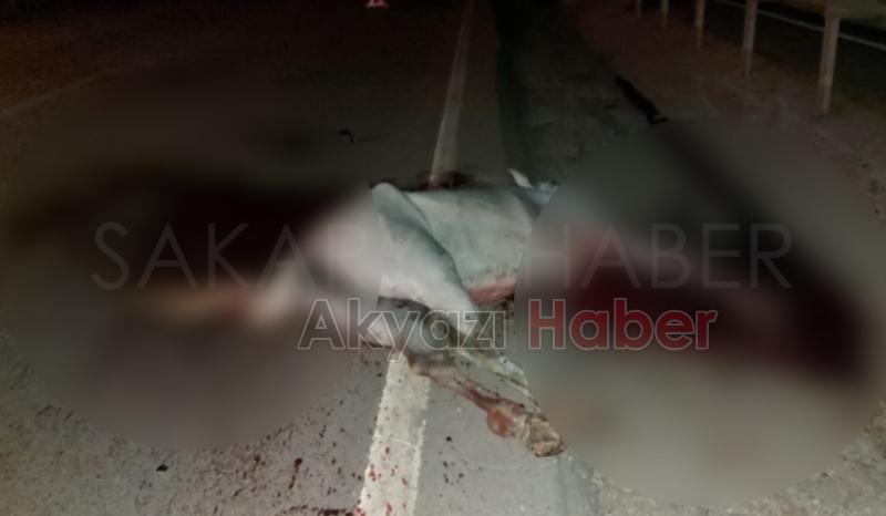 Otomobil ata çarptı