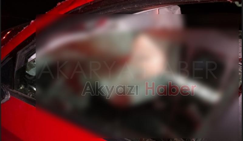 Otomobil ata çarptı