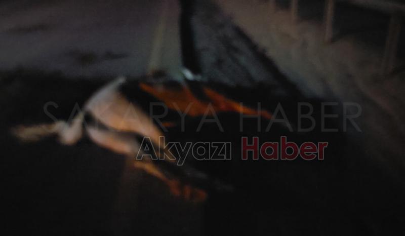 Otomobil ata çarptı