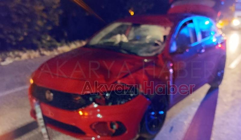 Otomobil ata çarptı