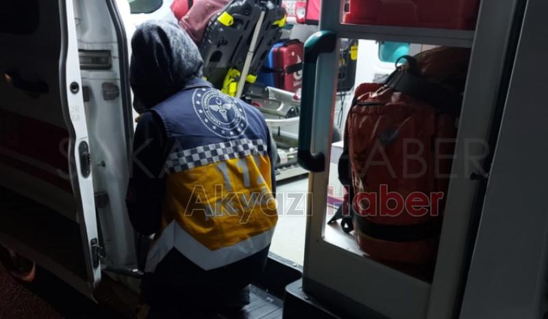 Otomobil ata çarptı