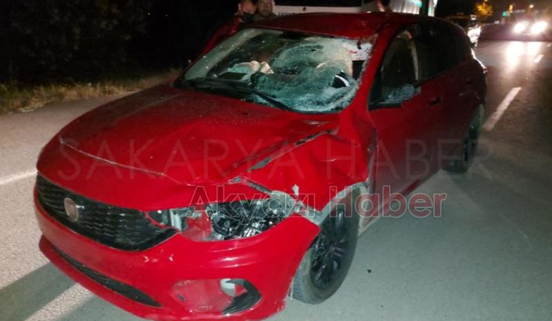 Otomobil ata çarptı