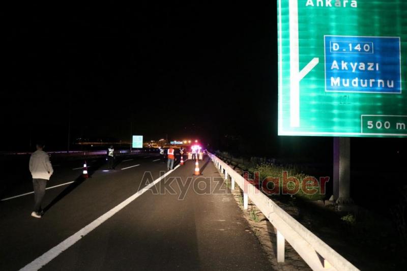 Lüks otomobil domuza çarpıp şarampole uçtu: 6 yaralı