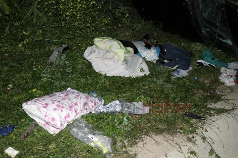 Lüks otomobil domuza çarpıp şarampole uçtu: 6 yaralı