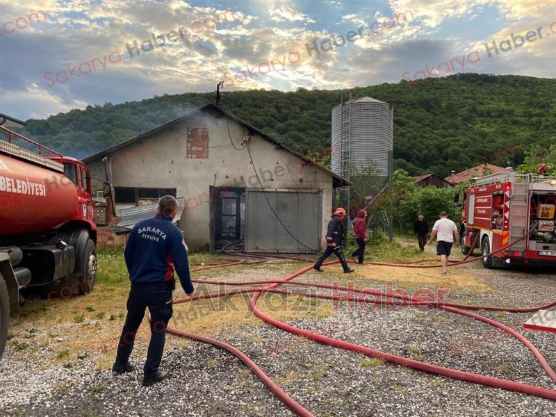 Tavuk çiftliği yandı