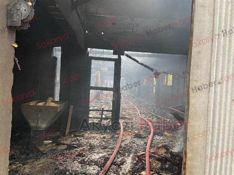 Tavuk çiftliği yandı