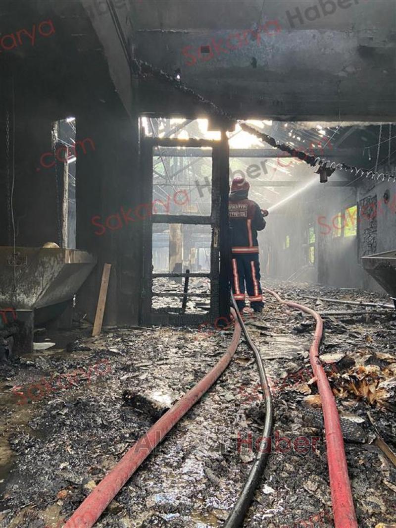 Tavuk çiftliği yandı