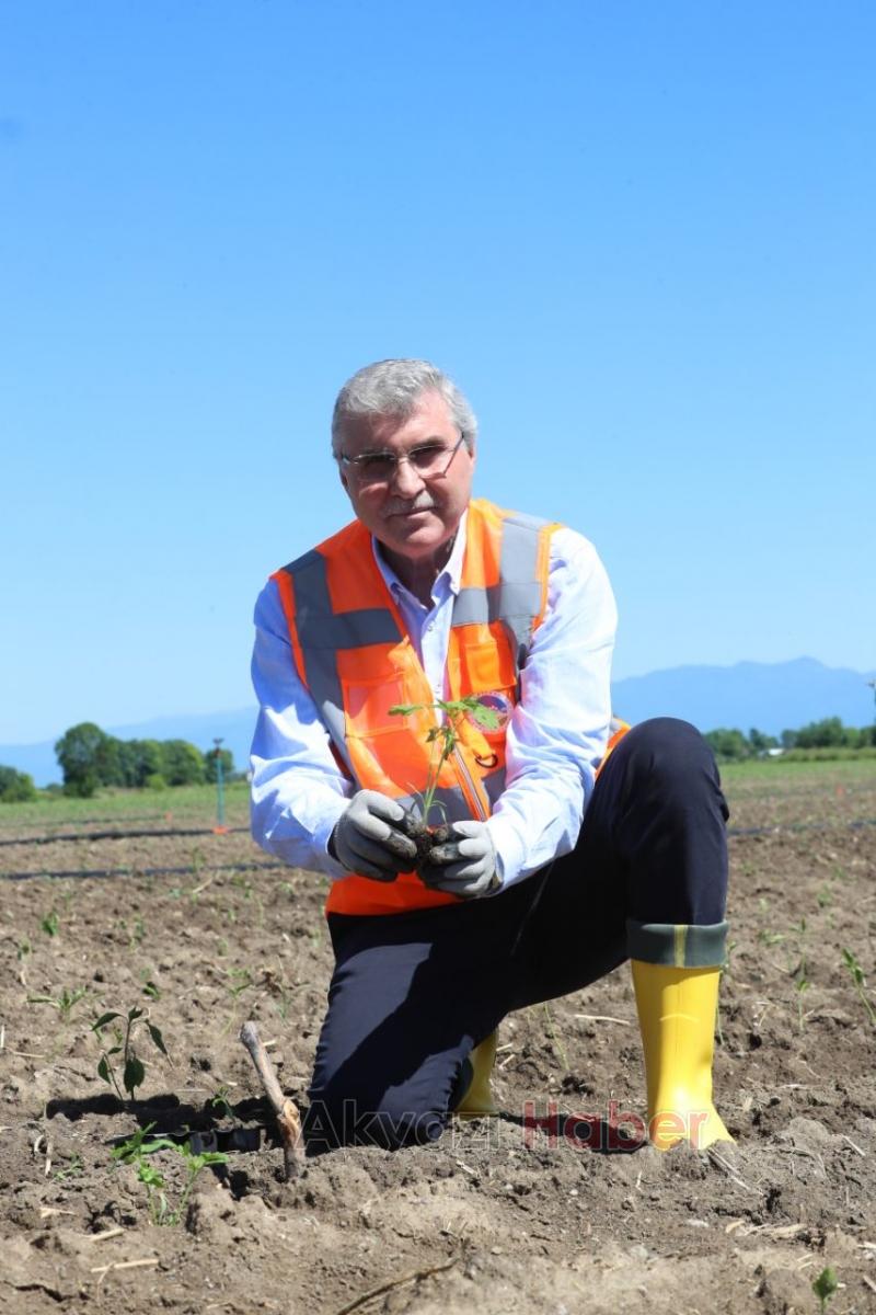 Ata Tohumları toprakla buluşturuldu