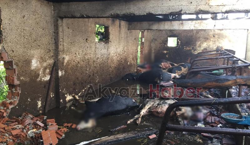 4 büyükbaş telef oldu, yüzlerce saman yandı