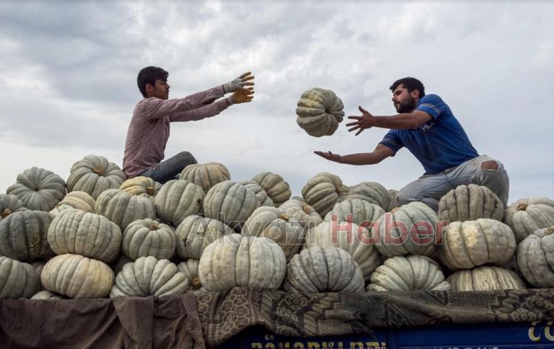 Akyazılı fotoğrafçılar yarışmaya damga vurdu