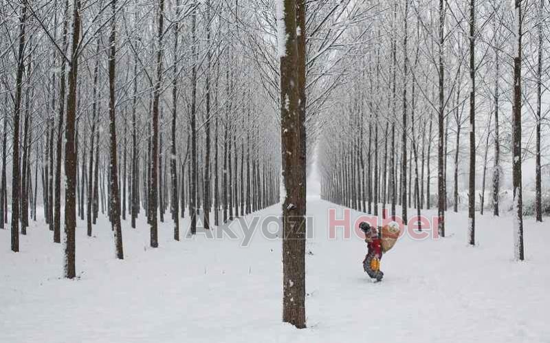 Akyazılı fotoğrafçı Ahmet Zeki Okur yarışmaya damga vurdu