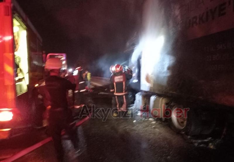 TEM'de bisküvi yüklü tır yandı
