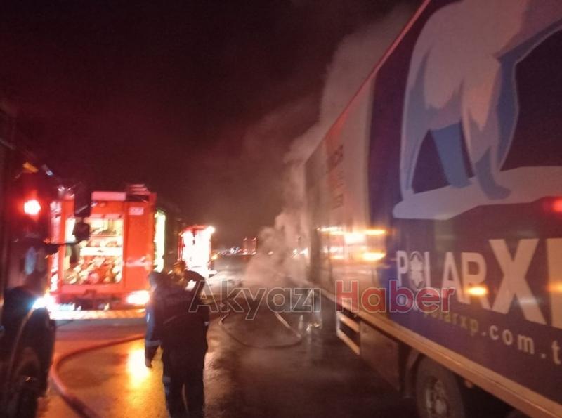 TEM'de bisküvi yüklü tır yandı