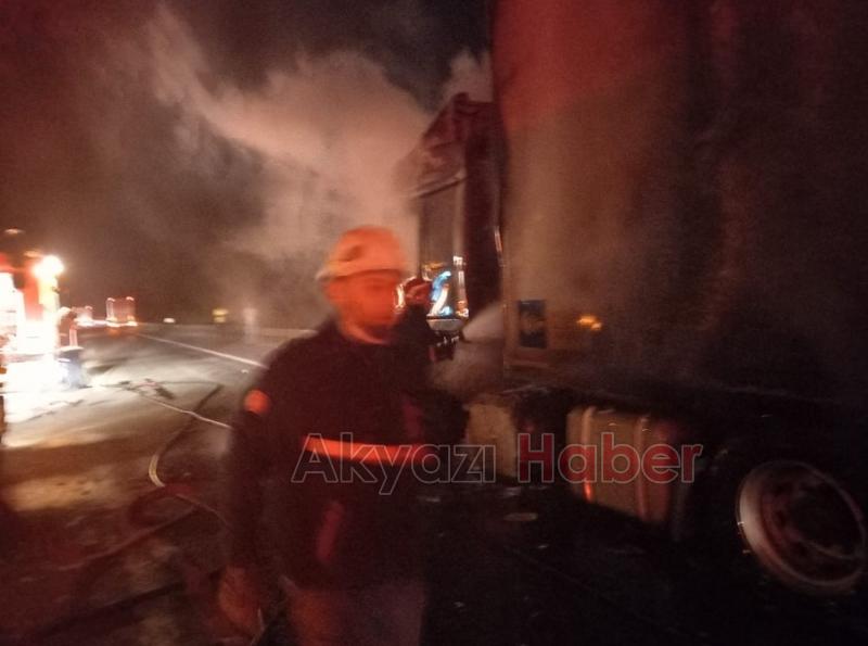 TEM'de bisküvi yüklü tır yandı