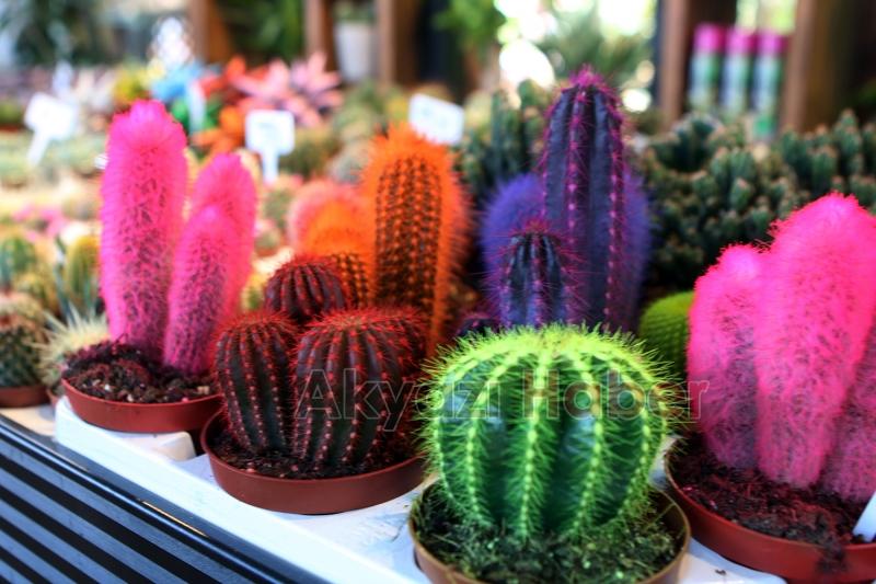 Bahçem satış merkezinin açılışı yapılıyor